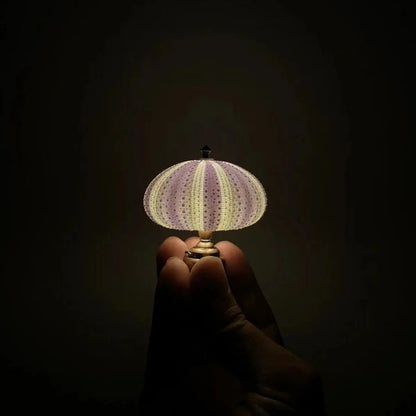 DIY Zee-egel bordslampa