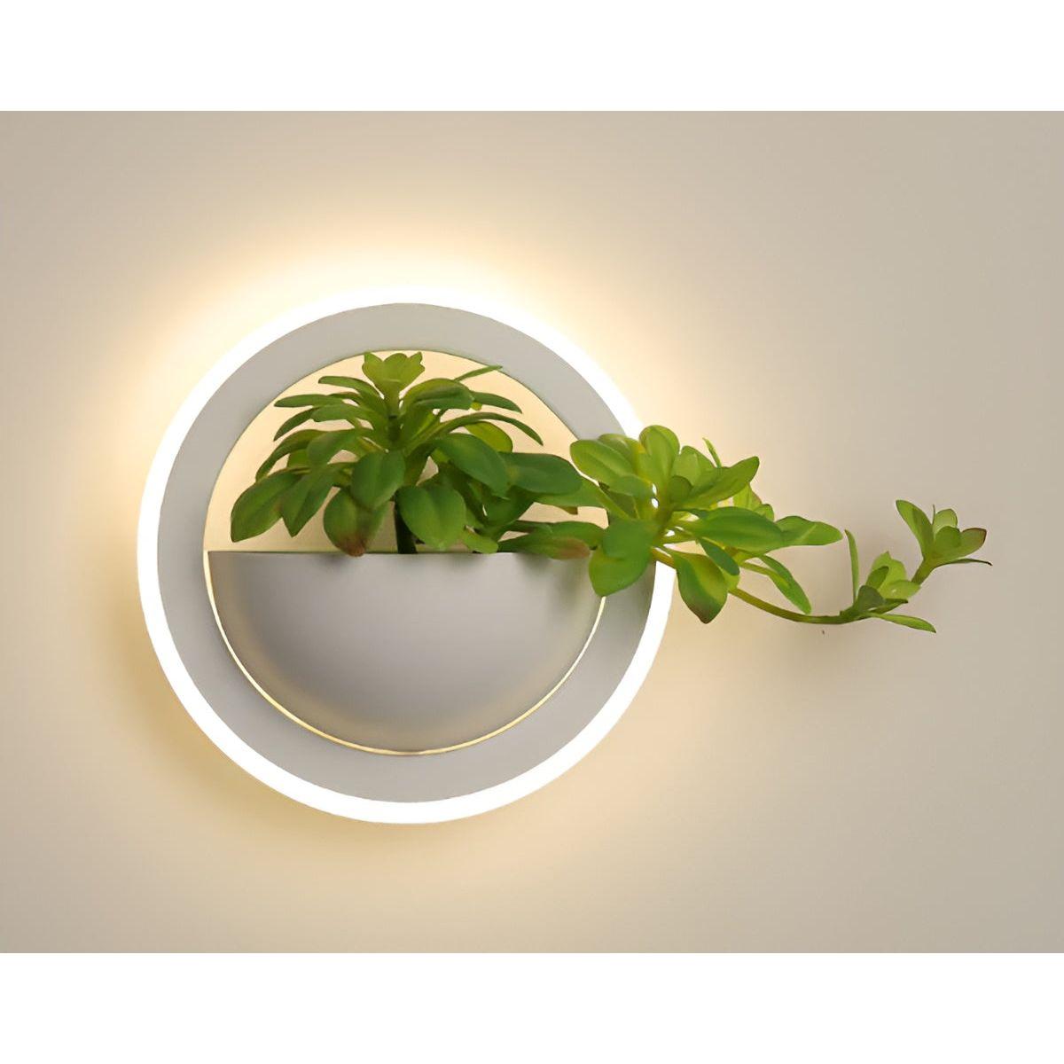 EcoChic Glow - Minimalistisk nordisk konst växtväggslampa för stilfulla glödande