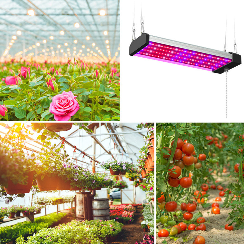 LED växtlampa med fullspektrum-belysning och dragknapp för optimal växttillväxt