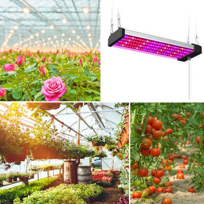 LED växtlampa med fullspektrum-belysning och dragknapp för optimal växttillväxt