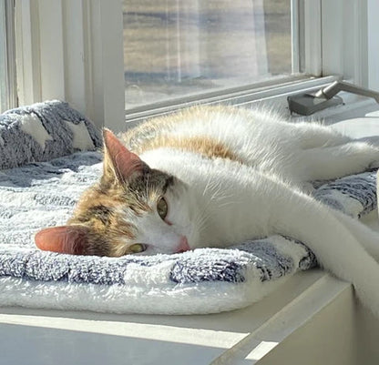 Petfilt Mjuk Fleece Tvättbar Möbel Skydd