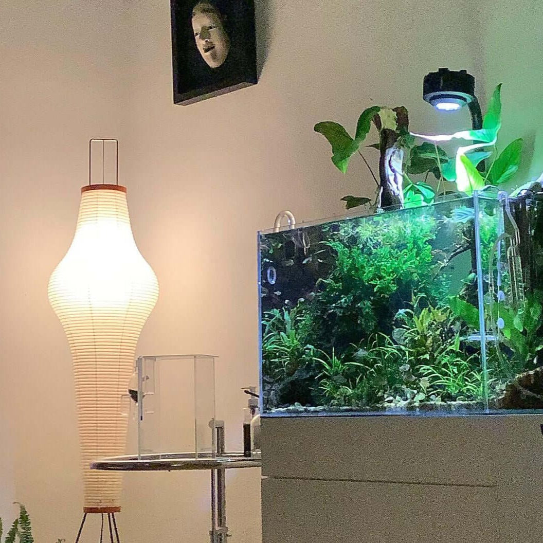 Lunora Haze | Skulptural golvlampa i rispapper i Japandi-stil