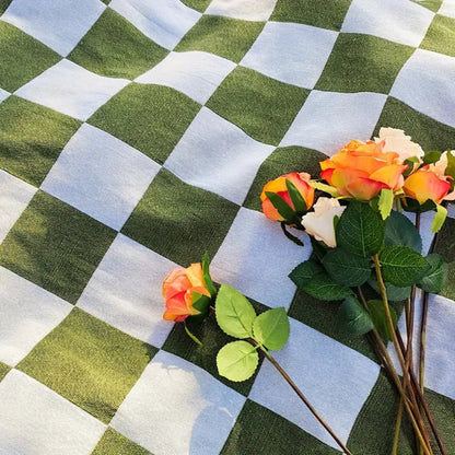 Klassisk Rutig Picknickfilt med Fransar