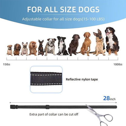 Anti-bark Elektrisk Stöt Djur Hund Träning E-halsband Lydnad Fjärrkontroll