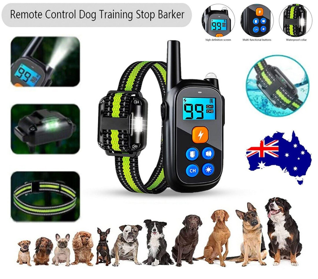 Anti-bark Elektrisk Stöt Djur Hund Träning E-halsband Lydnad Fjärrkontroll