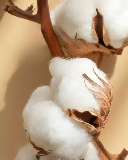 Carvallo Luxe – 4-delars bomulls-satin sängkläder med elegant broderi