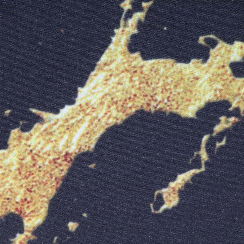 NovaDream – Sängkläder med cool marmorprint och elegant guldåredsdesign