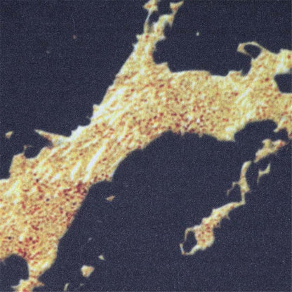 NovaDream – Sängkläder med cool marmorprint och elegant guldåredsdesign