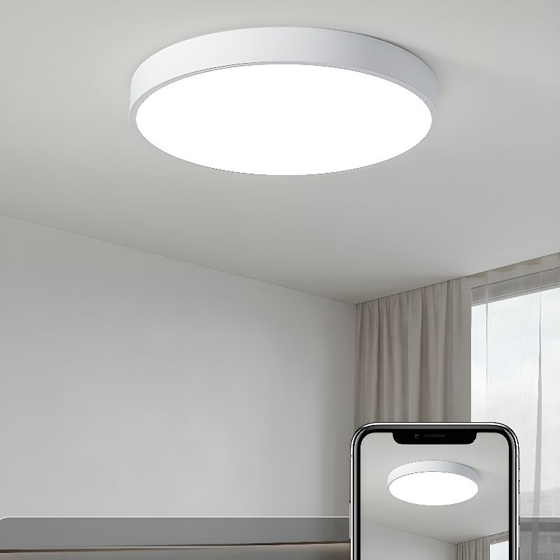 Cirkulära Flush Mount LED Taklampor
