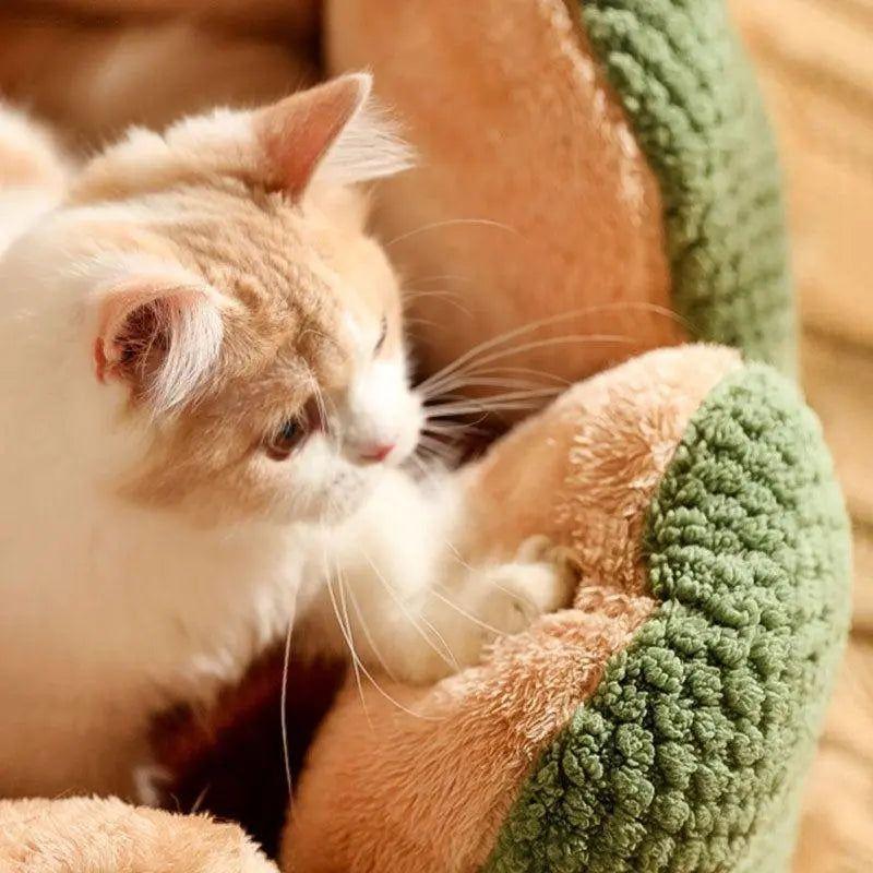 Cactus Thron Pet Bed - Stimulerar sömnkomforten