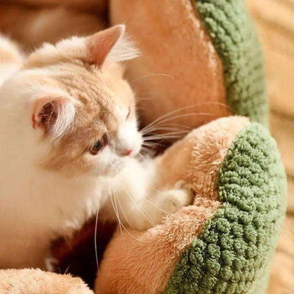 Cactus Thron Pet Bed - Stimulerar sömnkomforten