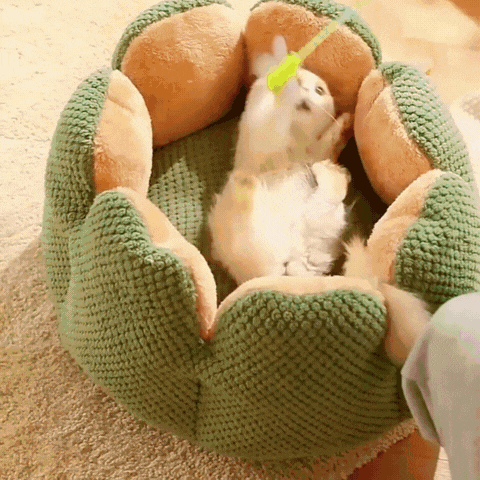 Cactus Thron Pet Bed - Stimulerar sömnkomforten