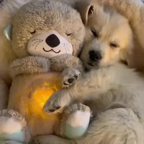 FurLuxe Lugna Plyschutter Hundkompis - Lugnande Ljud &amp; Bärbar Komfort för Husdjur