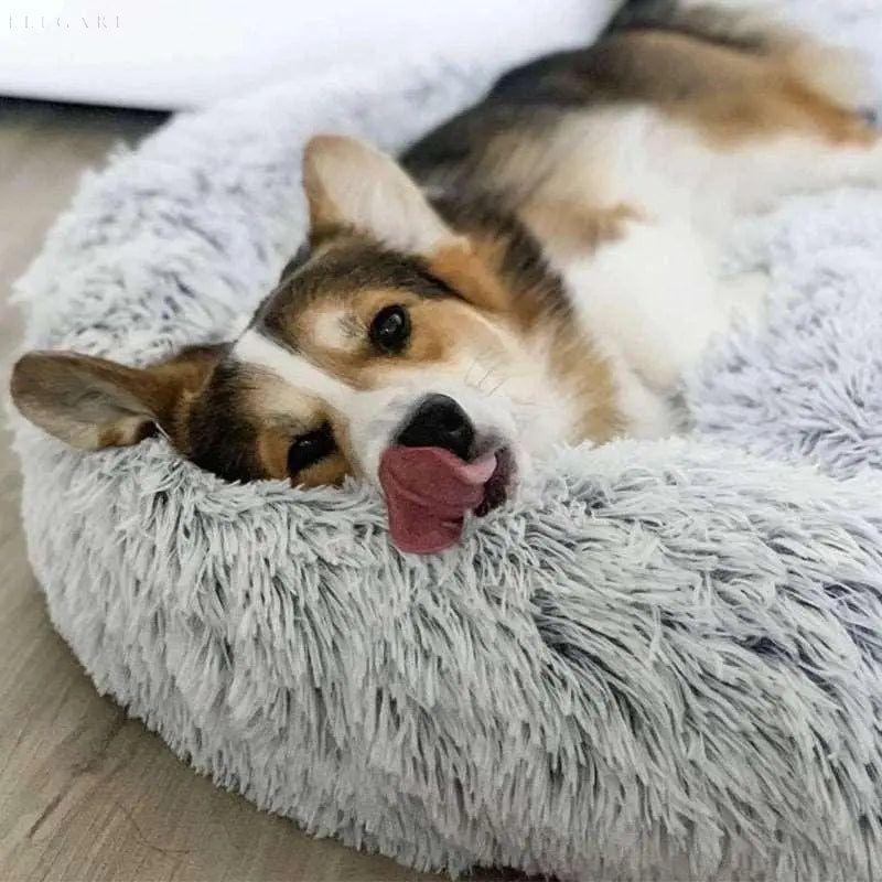 Calmzy – Mjuk, lugnande säng för husdjur