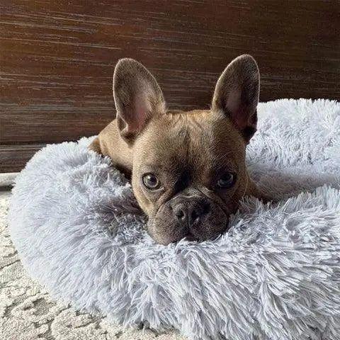 Calmzy – Mjuk, lugnande säng för husdjur