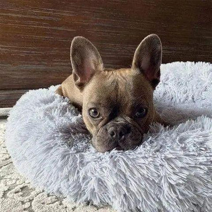 Calmzy – Mjuk, lugnande säng för husdjur