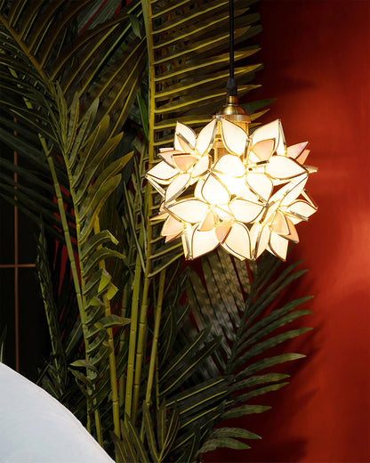 Carvallo - Hängande Lampa i Naturliga Snäckor