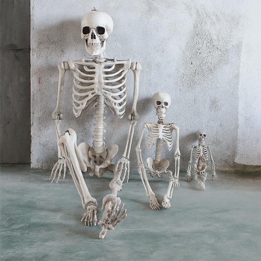 Verklig liv-storlek Halloween skelettdekoration