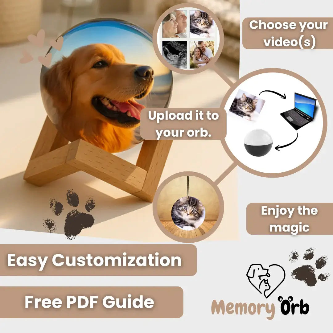 Royallure Memory Orb – Anpassad Videokula med 360° Ljud & USB Uppladdning