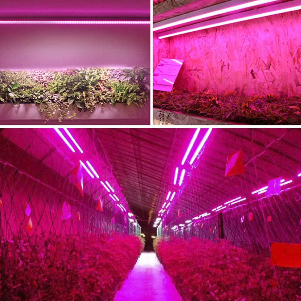 LED växtlampa med fullspektrum-belysning och dragknapp för optimal växttillväxt