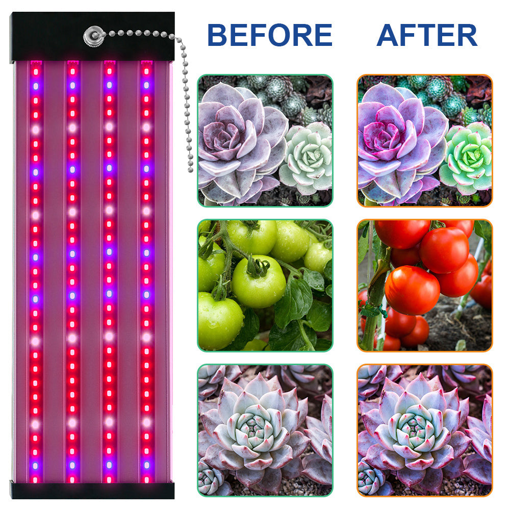 LED växtlampa med fullspektrum-belysning och dragknapp för optimal växttillväxt