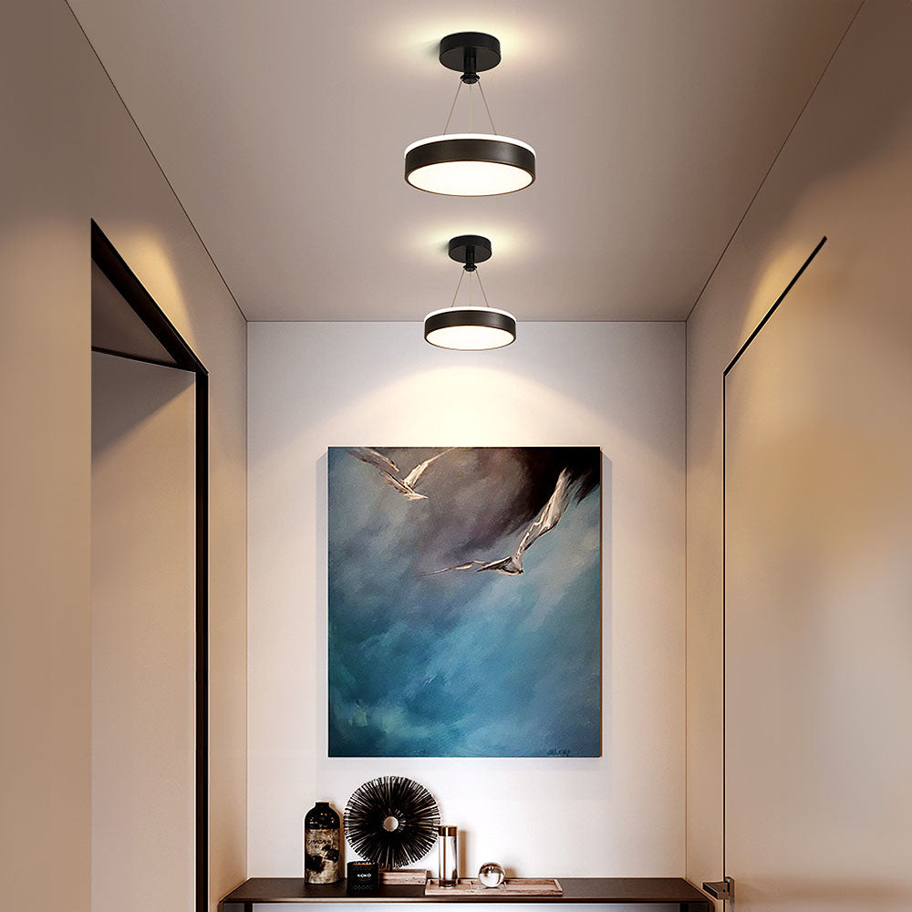 Stylish modern metal LED pendant lamps