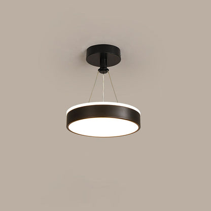 Stylish modern metal LED pendant lamps