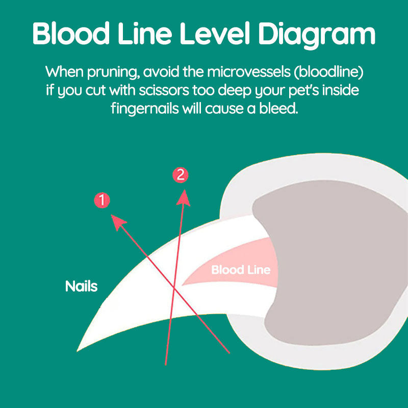Royaleva Bästa Hundklotång Med Snabbsensorer Säker Trimming