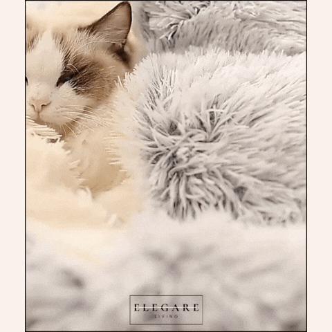 Dreamnest - Husdjur säng för ultimata lugn och komfort