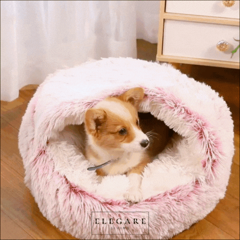 Dreamnest - Husdjur säng för ultimata lugn och komfort