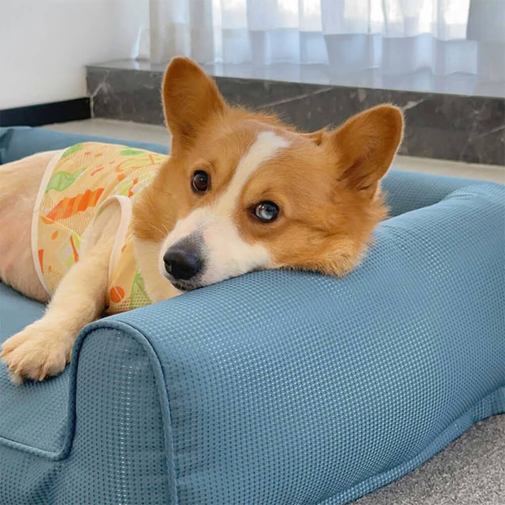 Vattentät Ortopedisk Djurbädd Andningsbar Lätt att Rengöra Halkfri