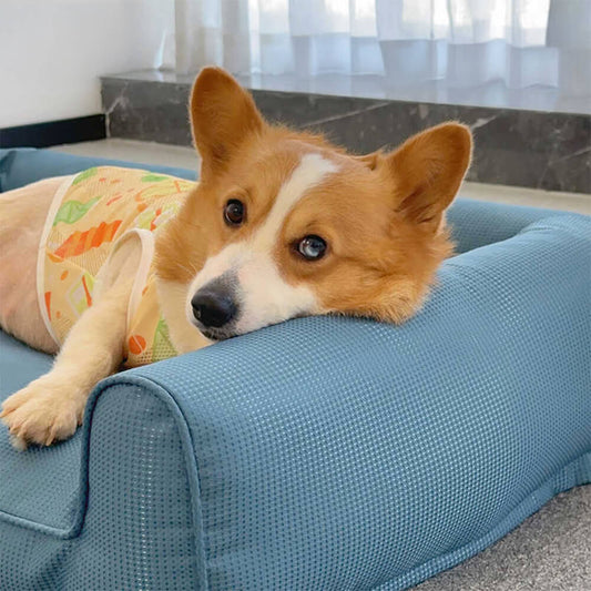 Vattentät Ortopedisk Djurbädd Andningsbar Lätt att Rengöra Halkfri