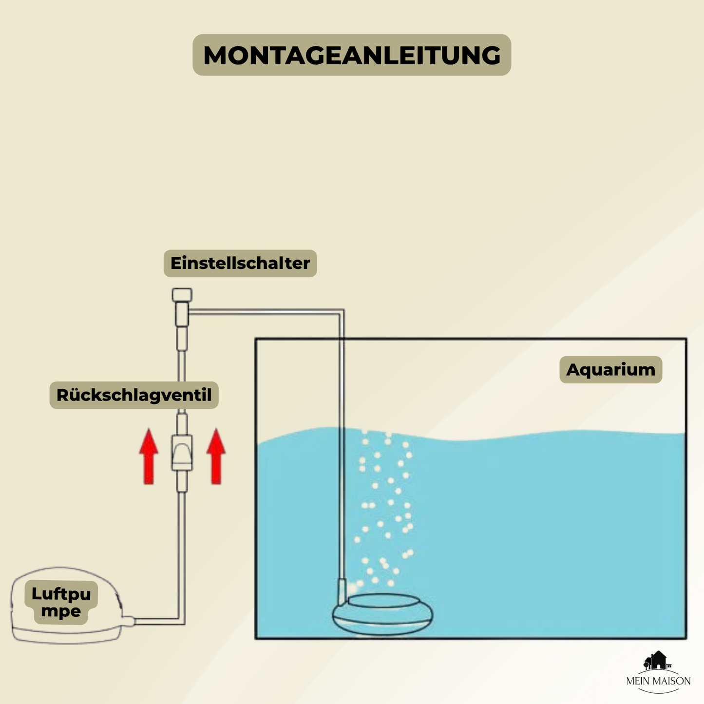 Carvallo Nano – Tyst frisk luft för ditt akvarium