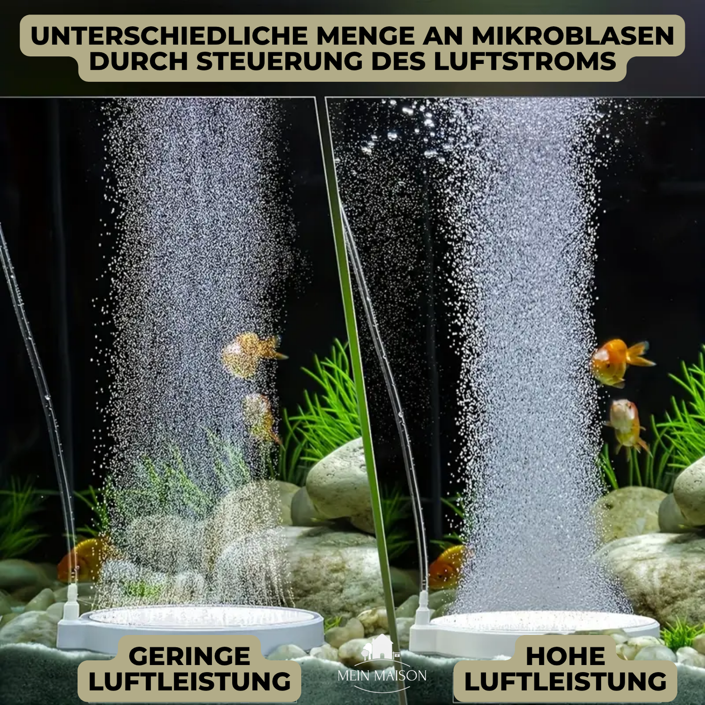 Carvallo Nano – Tyst frisk luft för ditt akvarium