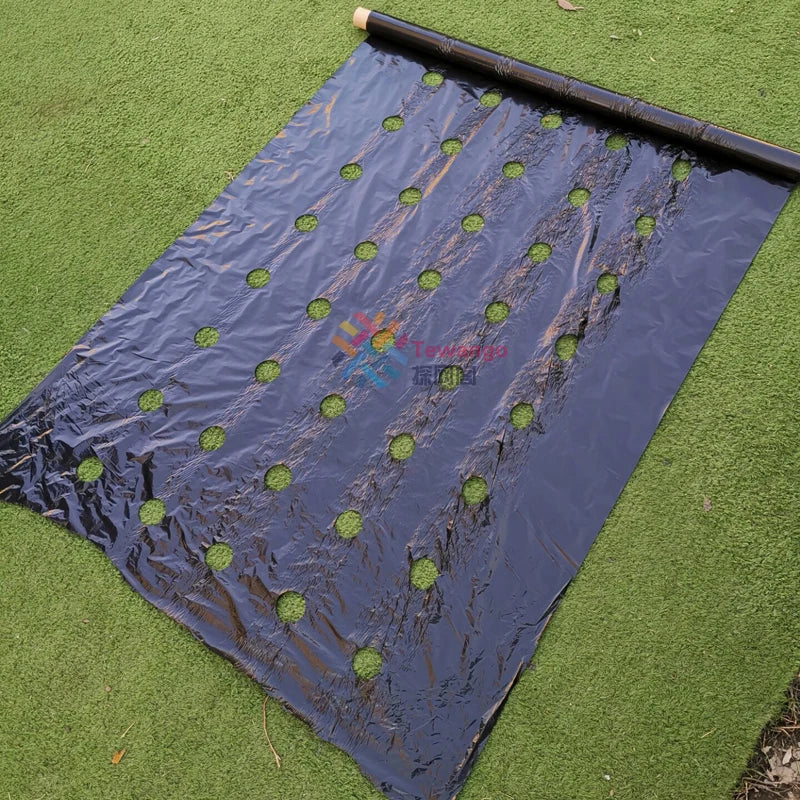 Carvallo Perforerad Agrarfolie av PE | 95 cm Bredd | För grönsaksodling & fuktskydd | Värme- & tillväxtfrämjande