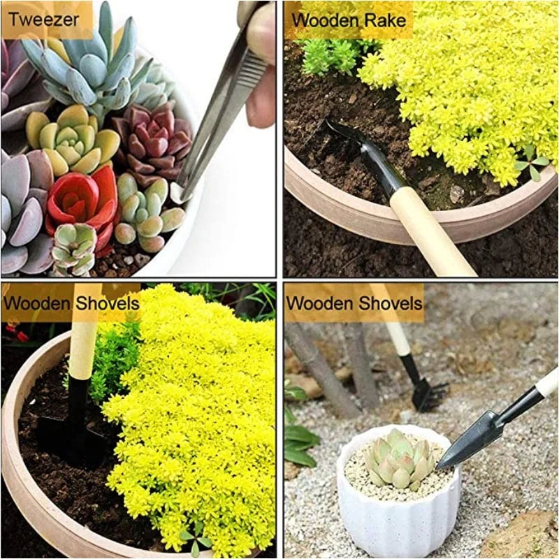 Carvallo MiniSet 13-delat trädgård- och bonsai-plantsats | Mini-verktyg för omplantering, sådd &amp; skötsel av suckulenter | Rostfritt stål &amp; ABS | 13 × 7 cm