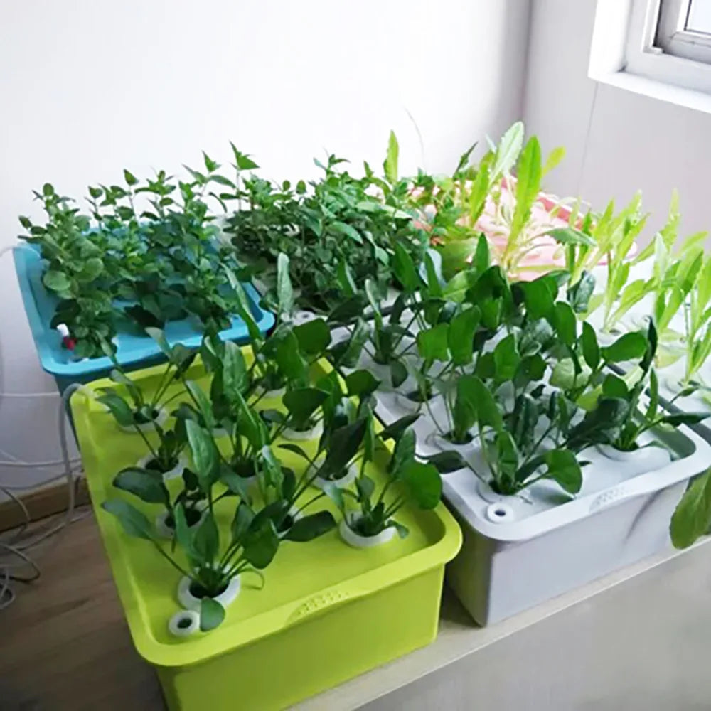 Carvallo Planter Box GrowLeaf 24 | 24 planteringsplatser | För inomhusodling | Med ventilation & tillbehör