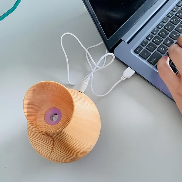 Carvallo – Doft möter välbefinnande ljus