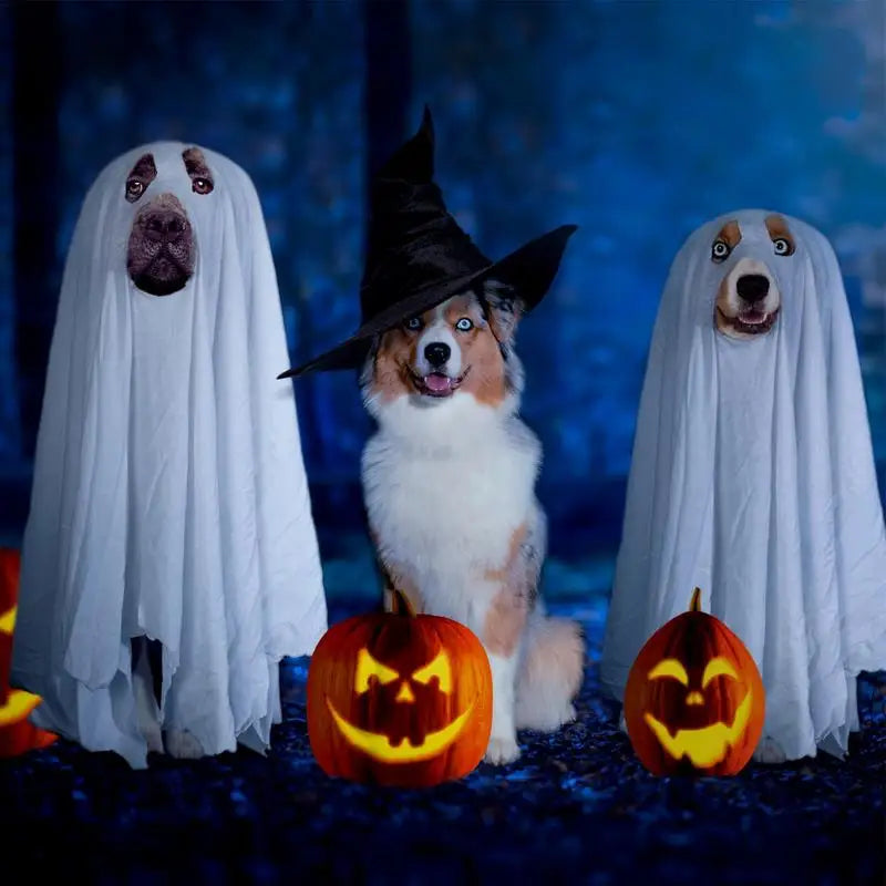 Ghost Dog Halloween-kostym
