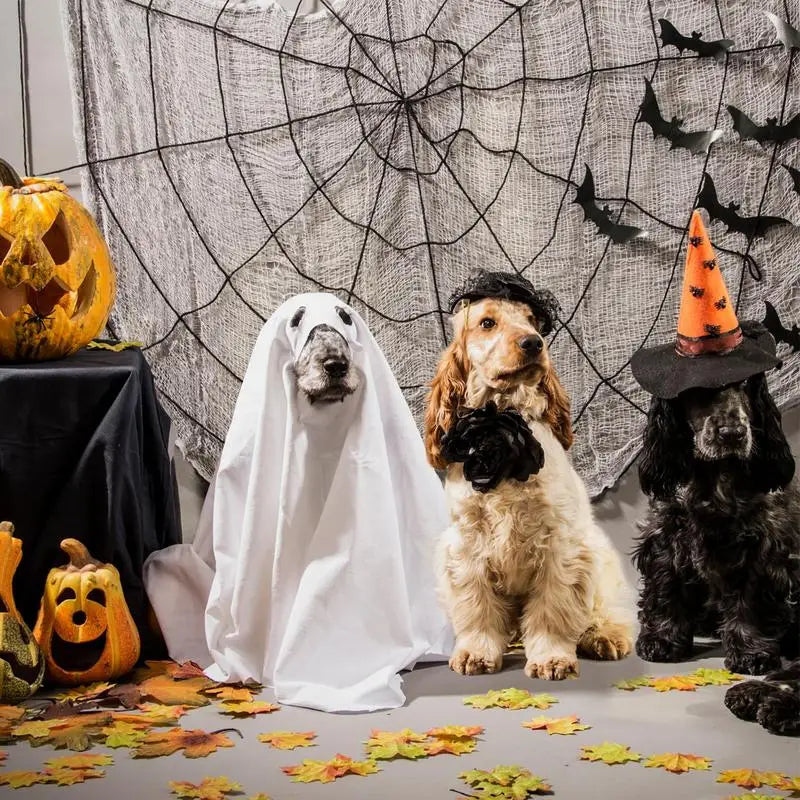 Ghost Dog Halloween-kostym