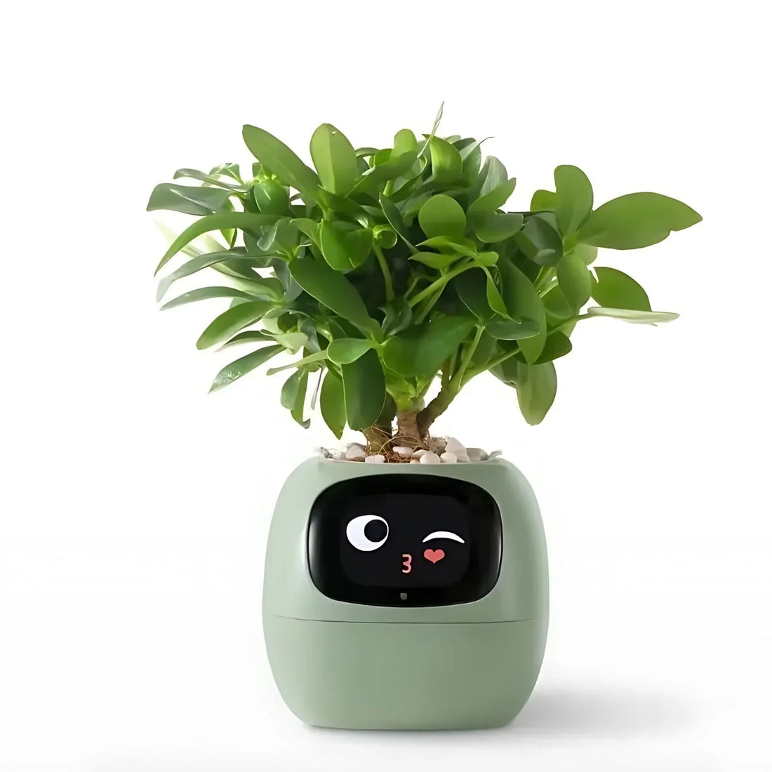 Automatisk Smart-blomkruka med bevattningssystem och LED-lampor