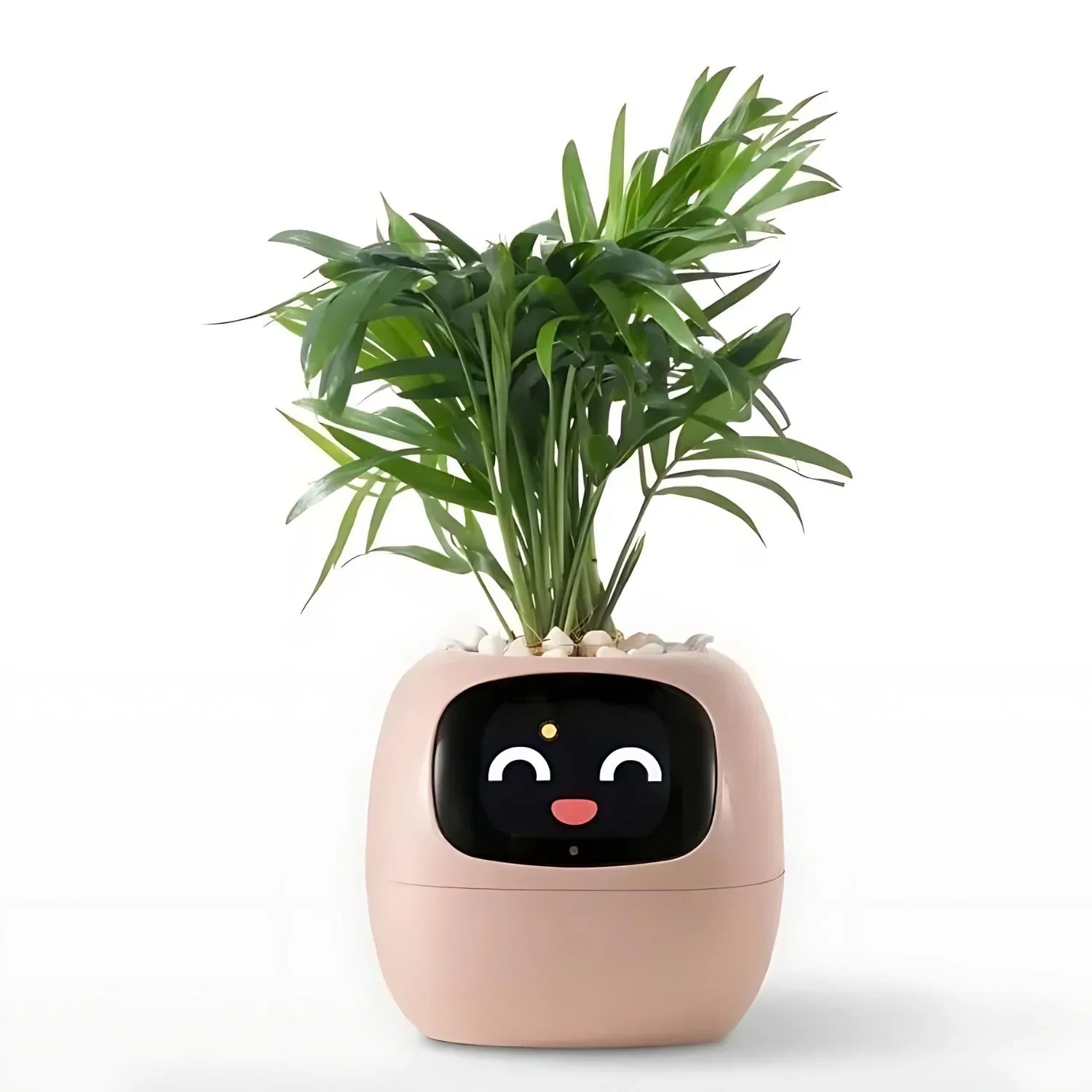 Automatisk Smart-blomkruka med bevattningssystem och LED-lampor