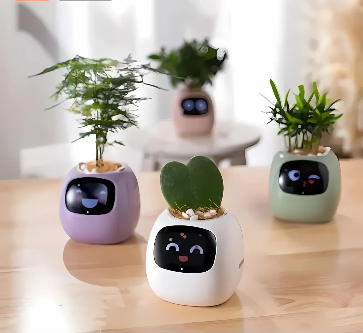 Automatisk Smart-blomkruka med bevattningssystem och LED-lampor