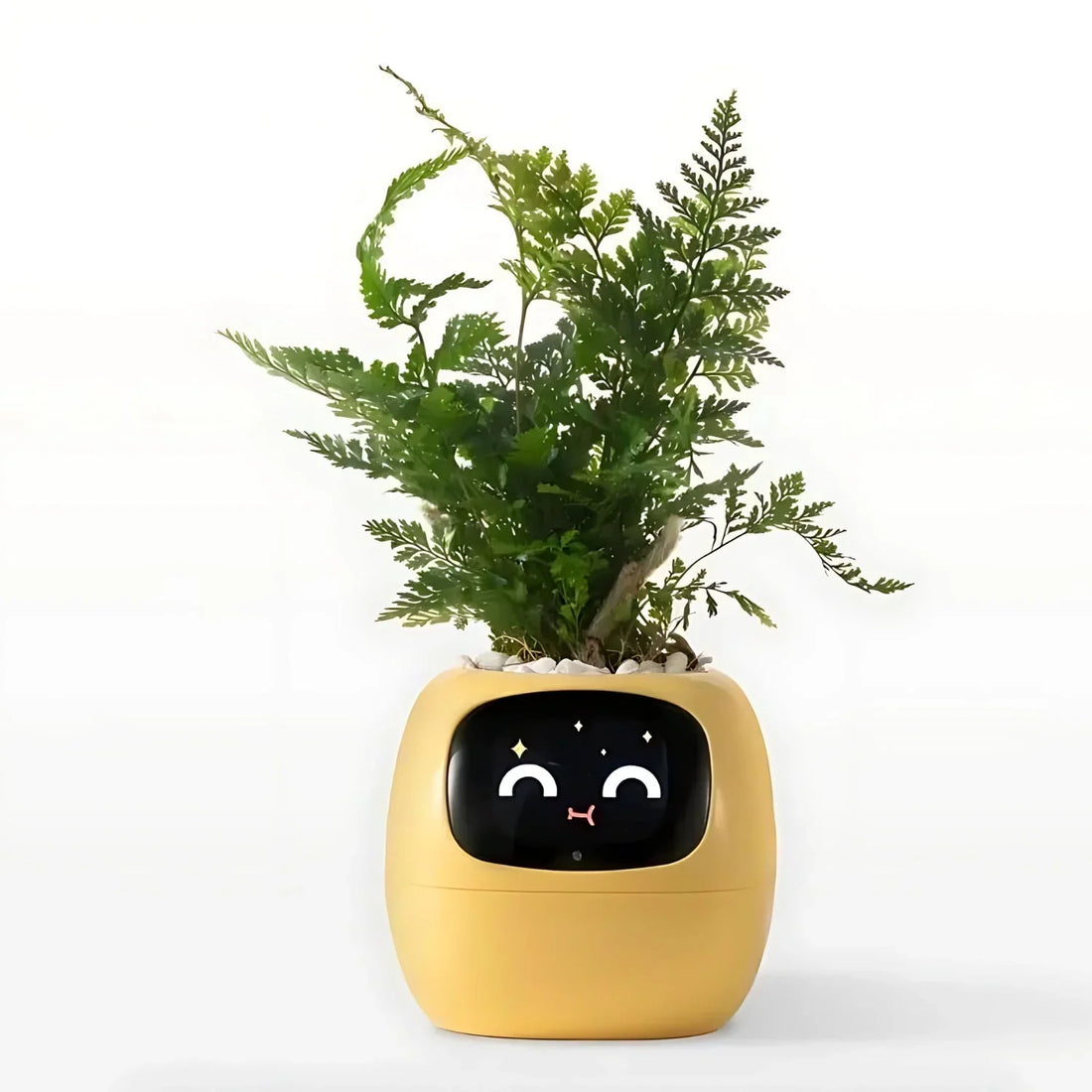 Automatisk Smart-blomkruka med bevattningssystem och LED-lampor