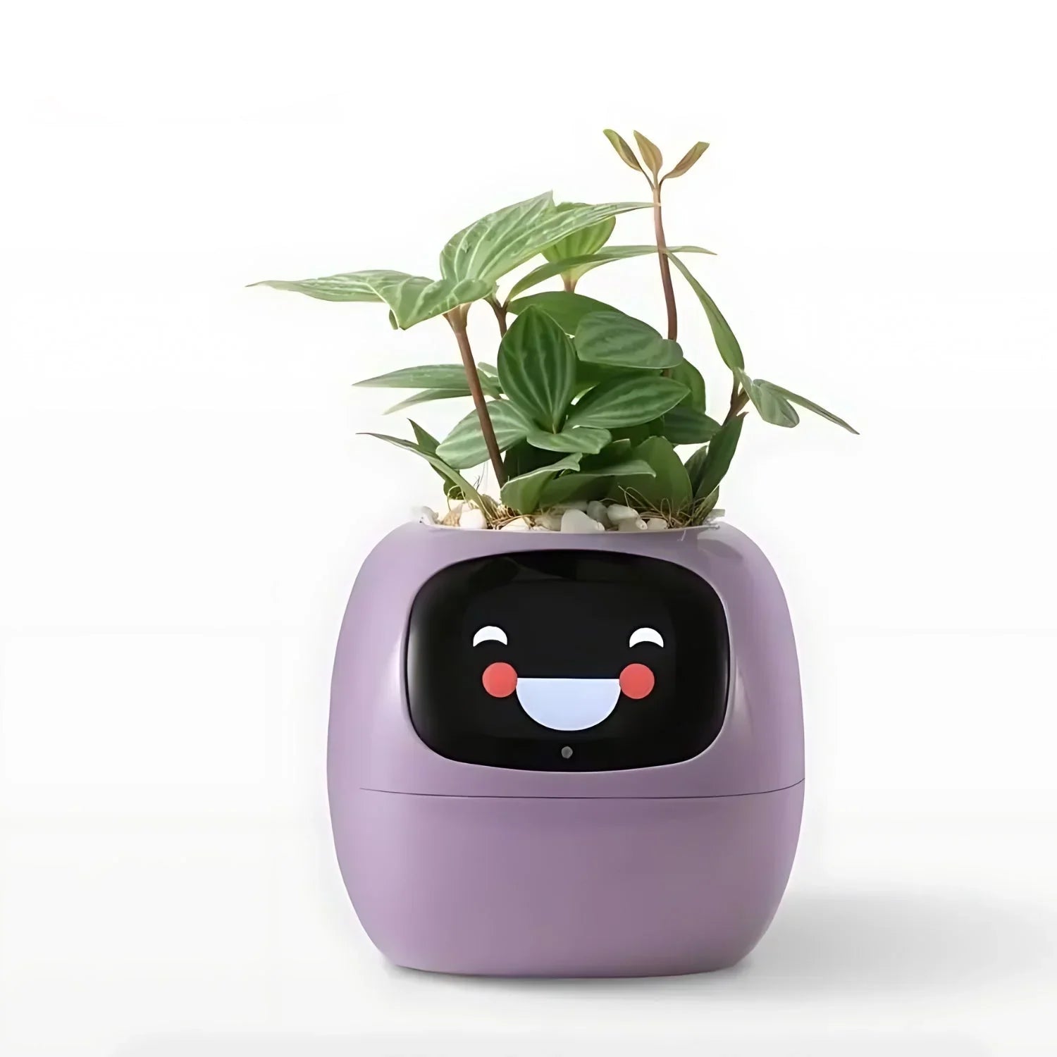 Automatisk Smart-blomkruka med bevattningssystem och LED-lampor