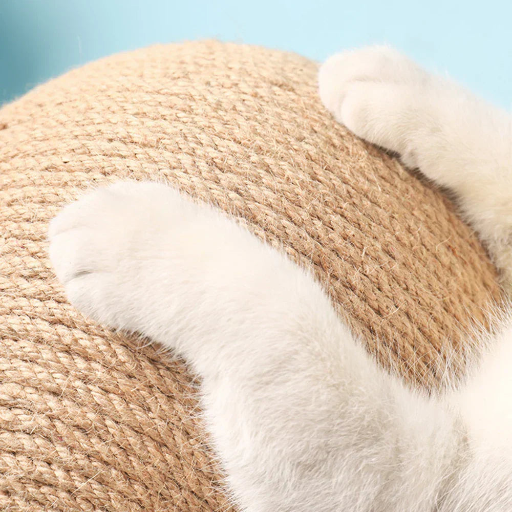 Carvallo - Abrasion-resistant toy for pets