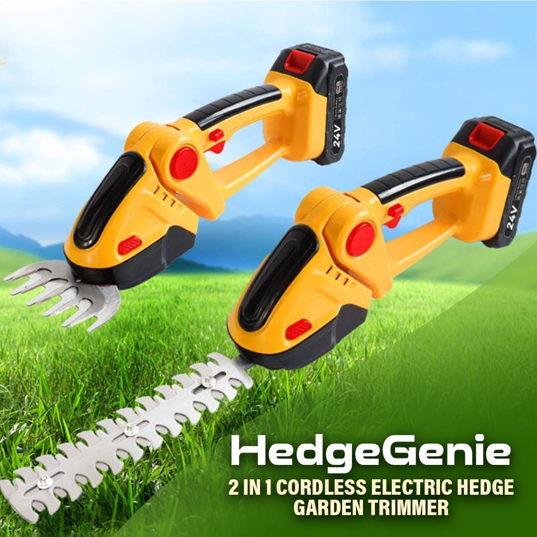 2 I 1 Sladdlös Elektrisk Hagtorntrimmer