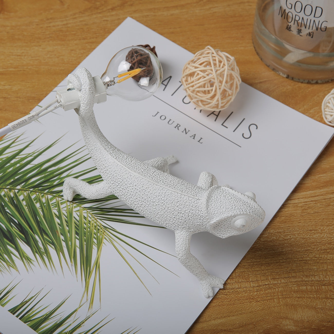 Unik Harpiks Sköldpadda Bordsbelysning