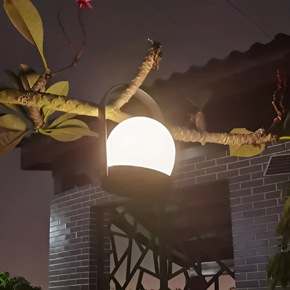 Carvallo – Dimbar Bordslampa med Stilig Frihet