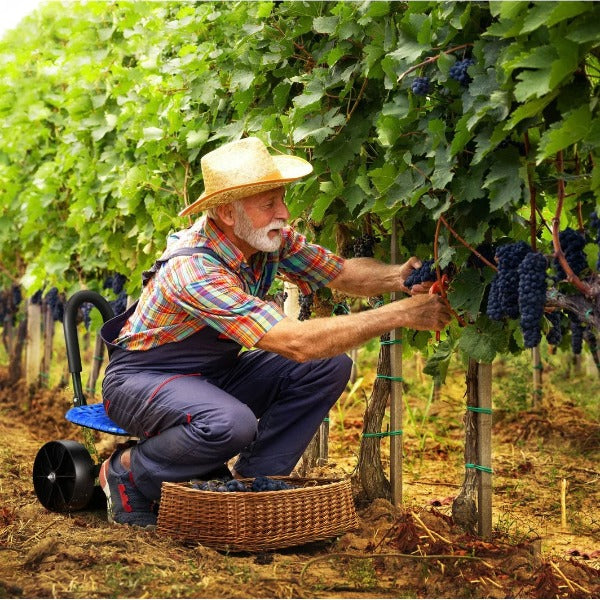 Carvallo – Den vridbara trädgårdsstolen!